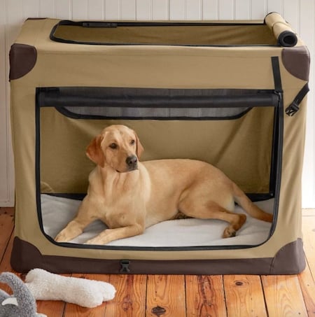 Orvis Hose-Off Folding Travel Crate