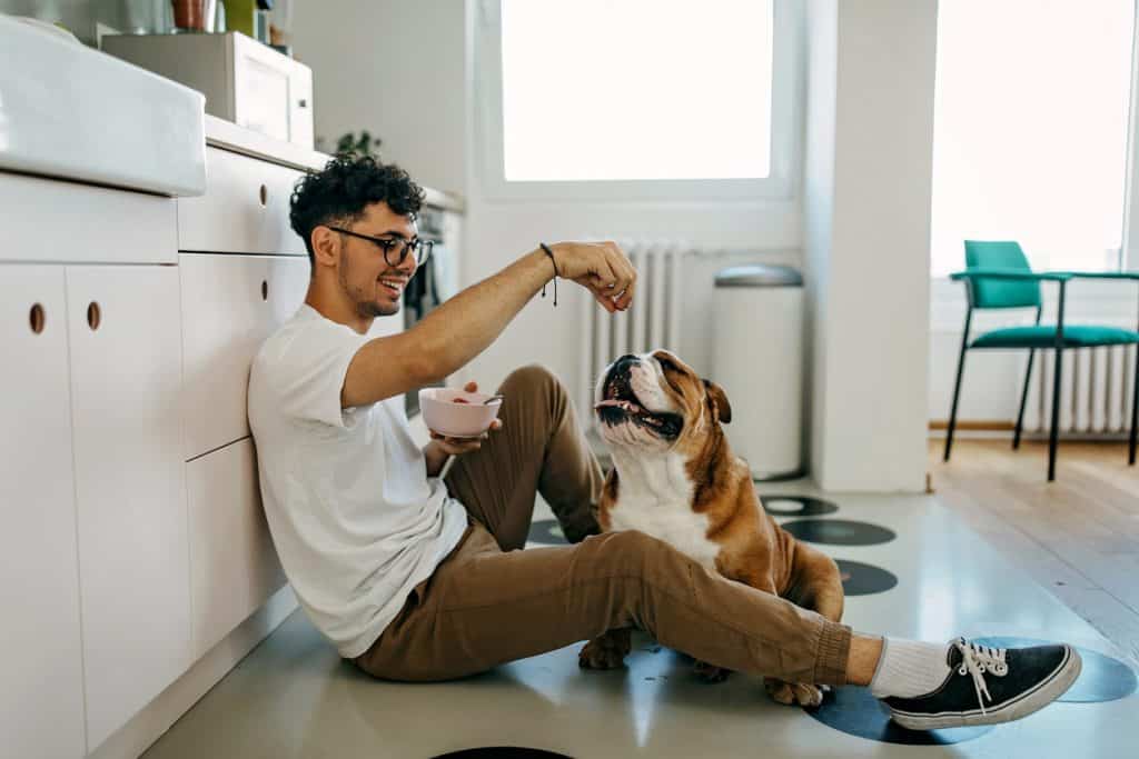 Shot of a young man sharing food with his Bulldog while they sit together on the kitchen floor