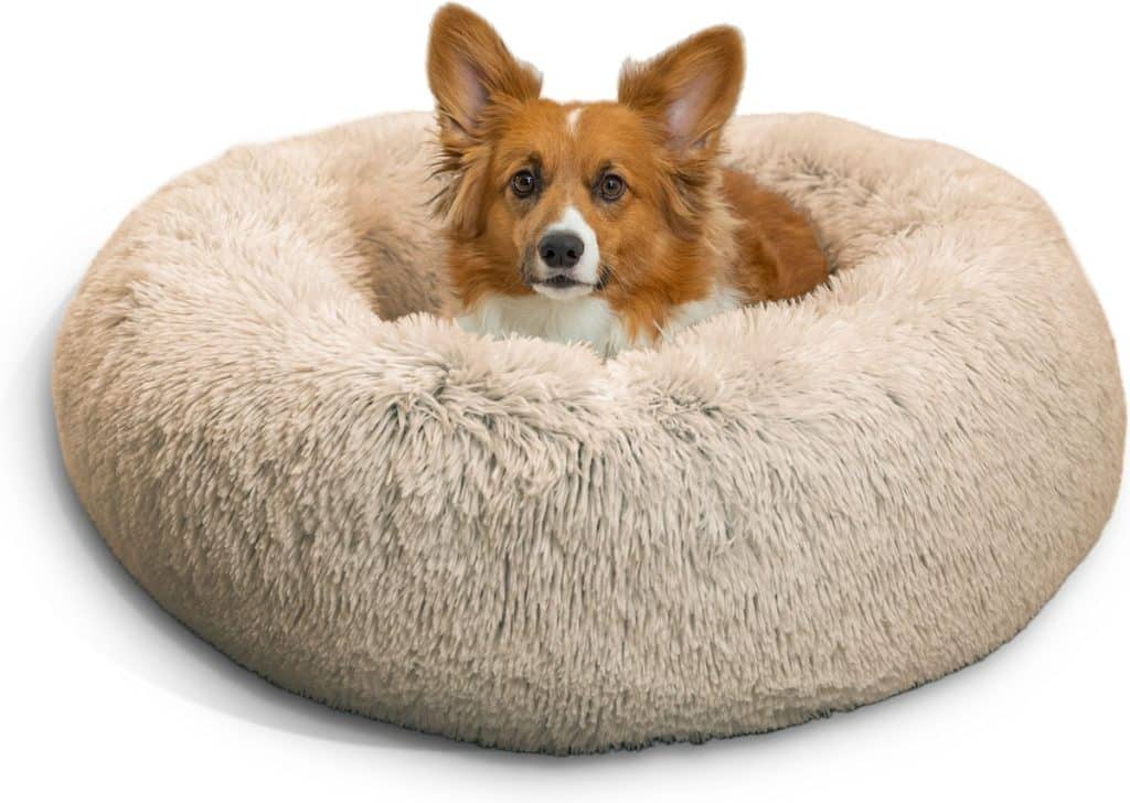 The 9 Best Calming Beds for Anxious Dogs