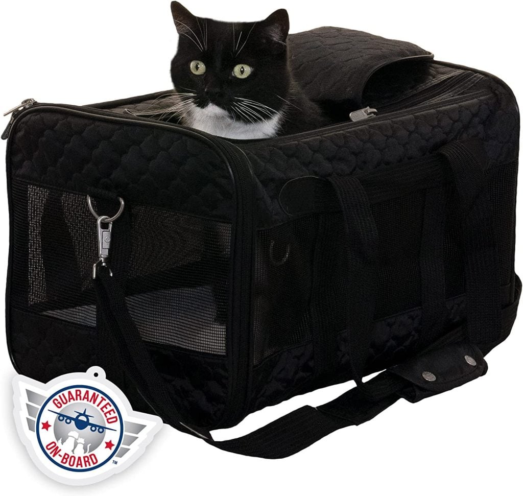 The 9 Best Cat Carriers for All Kinds of Kitty Travel