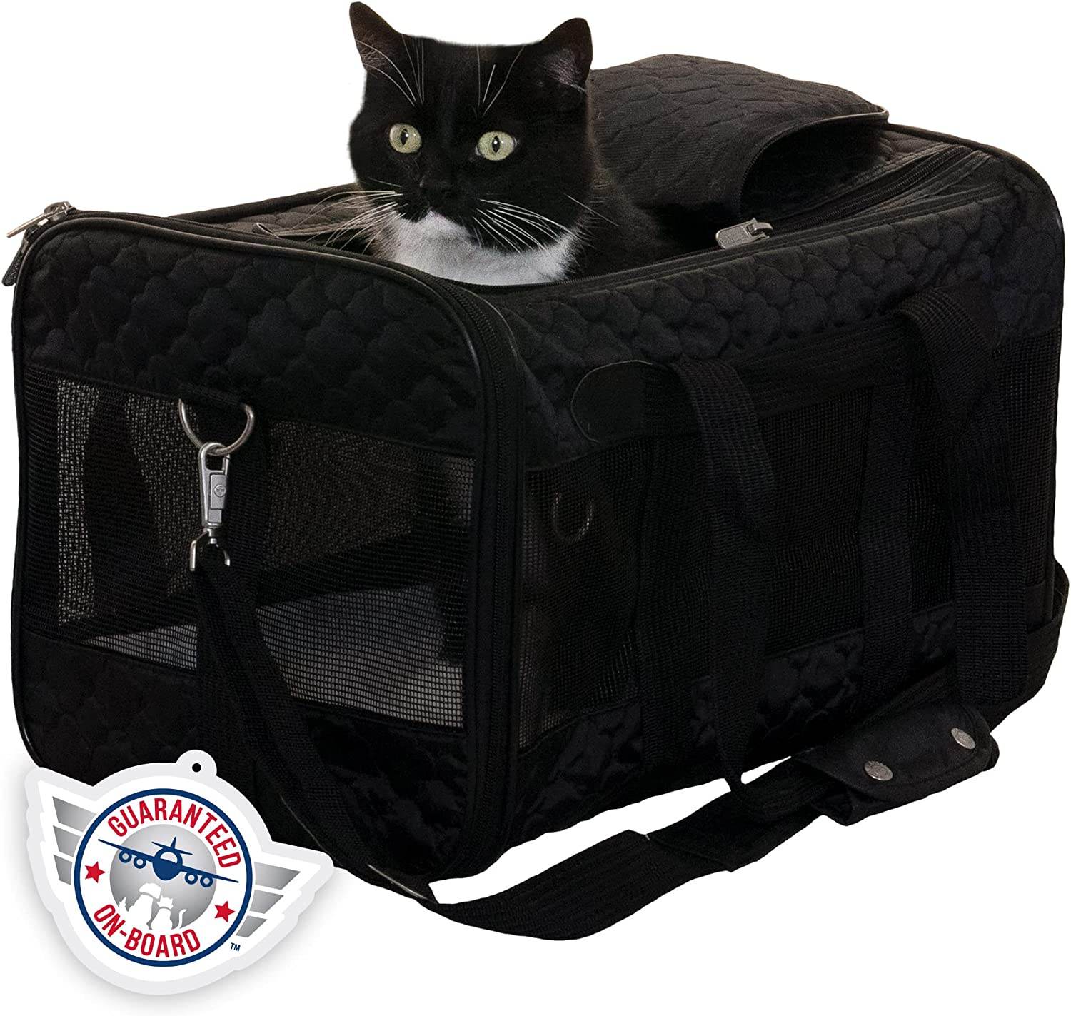 black and white cat sticking out of a black soft-sided cat carrier