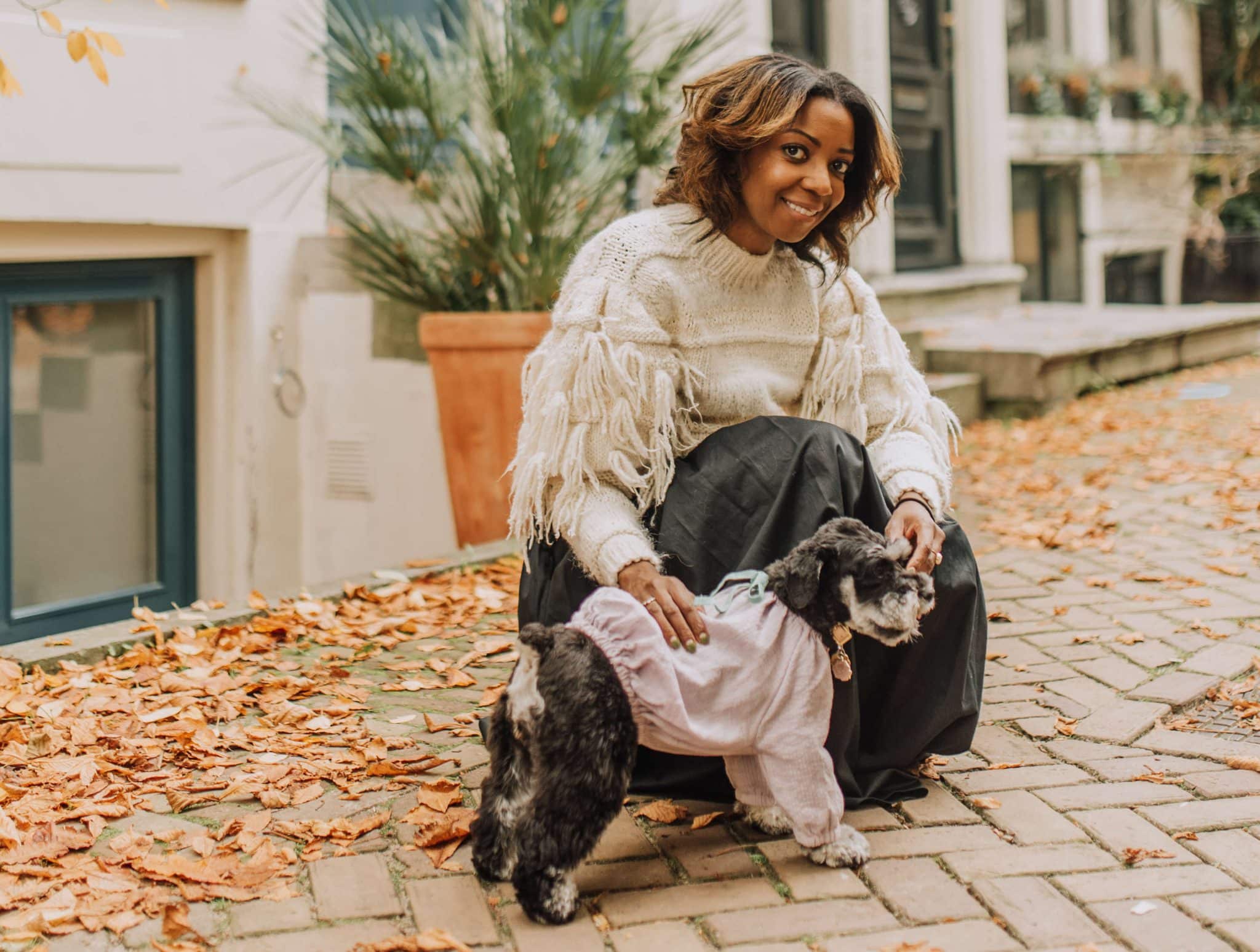 7 Amazing BlackOwned Pet Brands with Unique Picks