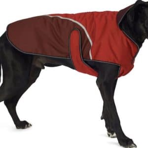 Petrageous Designs Calgary Insulated Coat