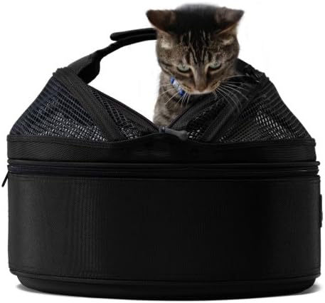 tabby cat sitting in mobile pet bed carrier