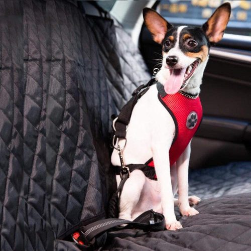 slowton car dog harness