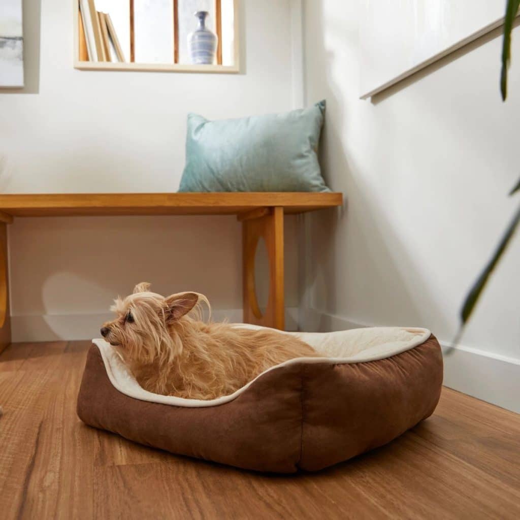 The 11 Best Beds for Small Breed Dogs