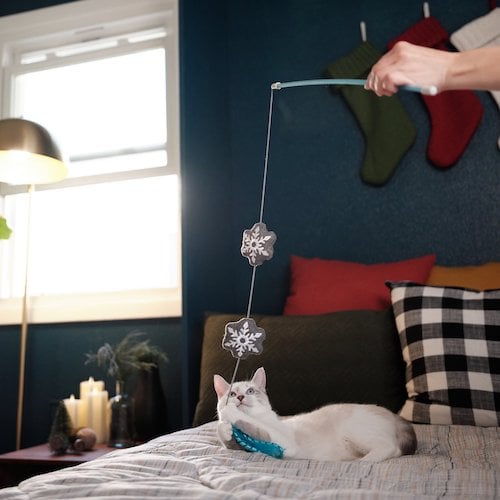 Cat on bed playing with snowflake cat wand toy
