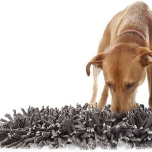 dog sniffs gray paw5 wooly snuffle mat