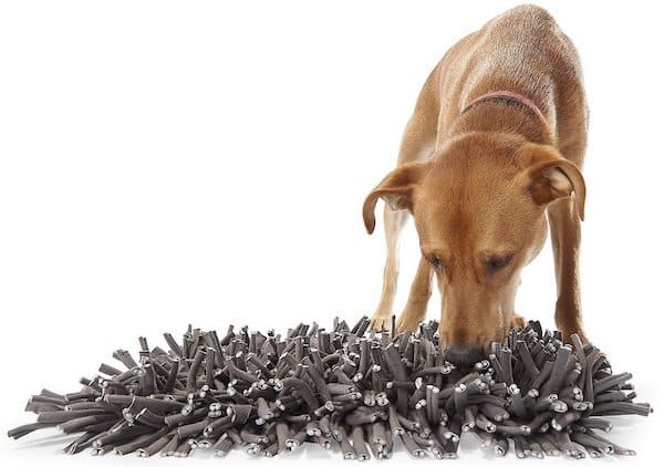 dog sniffs gray paw5 wooly snuffle mat