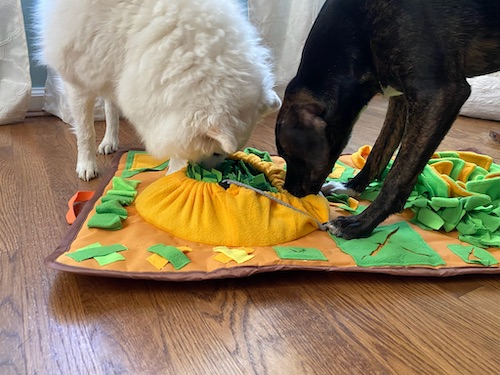 Two dogs playing with snuffle mat
