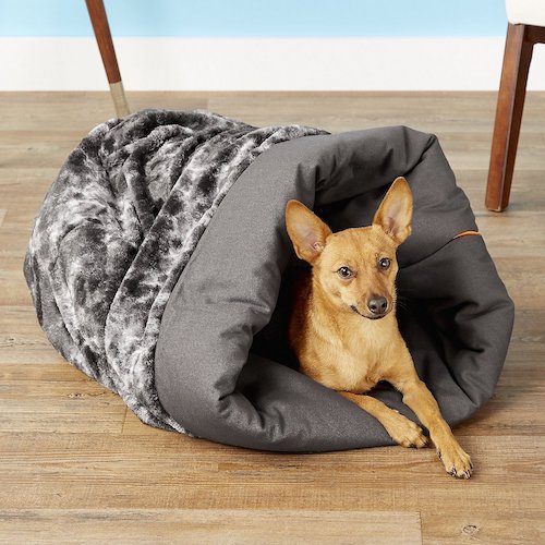 Dog snuggled in grey dog bed