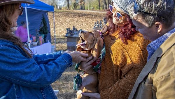 Three women admire a sleepy Basset Hound puppy at an outdoor market