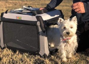 The 7 Best Soft-Sided Crates for Dogs
