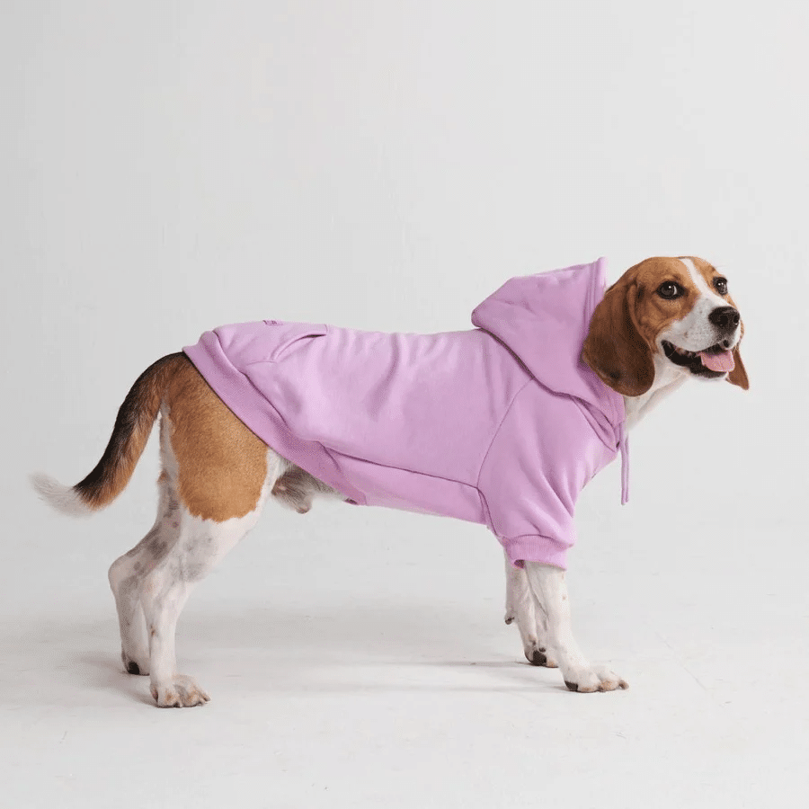 Spark Paws essential dog hoodie
