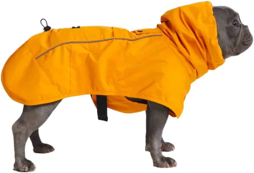 Spark Paws rain coat