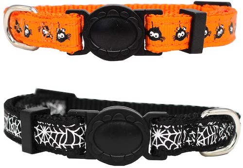 Halloween Cat Collars | 8 Spooky Pieces To Get Your Kitty in the Spirit