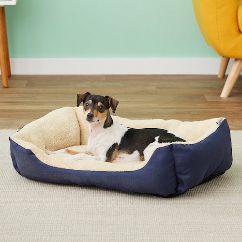 Multi-colored dog sitting in blue square dog bed