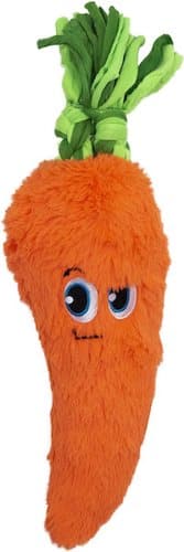 Squeaky carrot dog toy with plush face