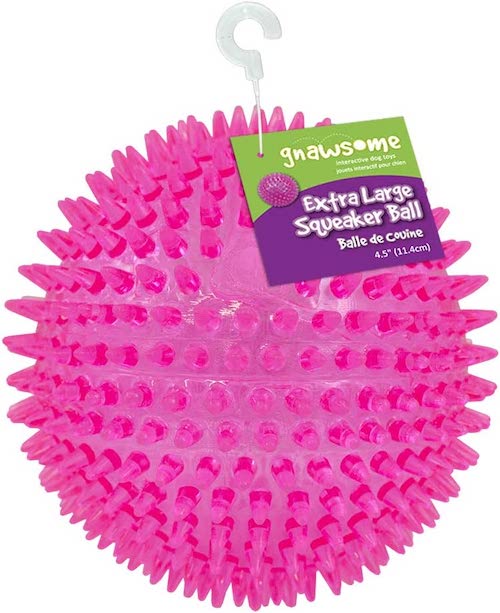 squeaky dog toy gnawsome ball