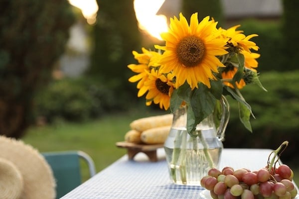 Sunflowers in a glass vase on an outdoor table