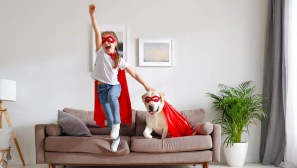 Dog dressed up as a superhero