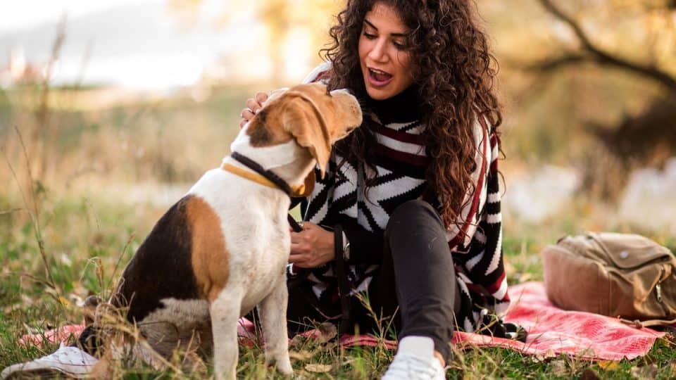 Dark-haired girl talking to Beagle in autumn picnic setting