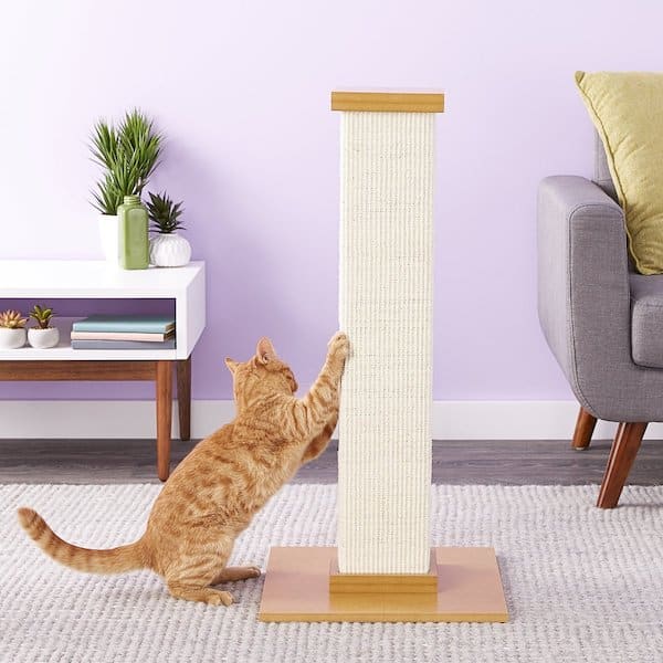 Cat scratching on tall scratching post