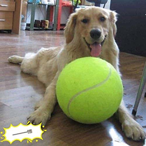 giant tennis ball with dog