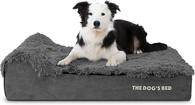 The 10 Best Waterproof Dog Beds for Accidents to Outdoor Adventures