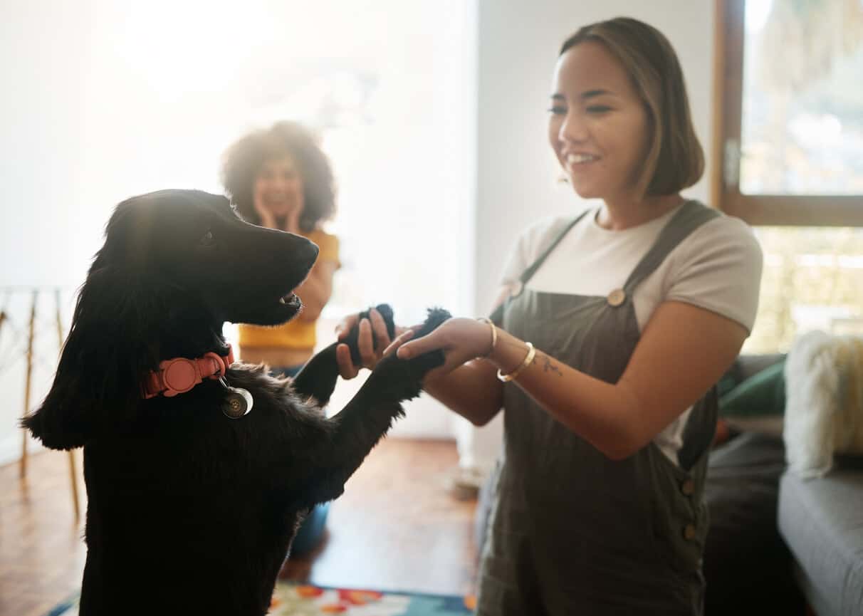 10 Tips for Your Dog’s First Boarding Experience