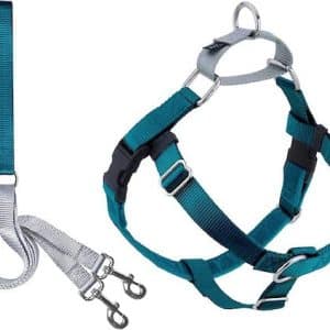 2 hounds freedom no pull harness