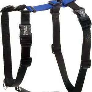 Blue-9 Buckle-Neck Balance Harness