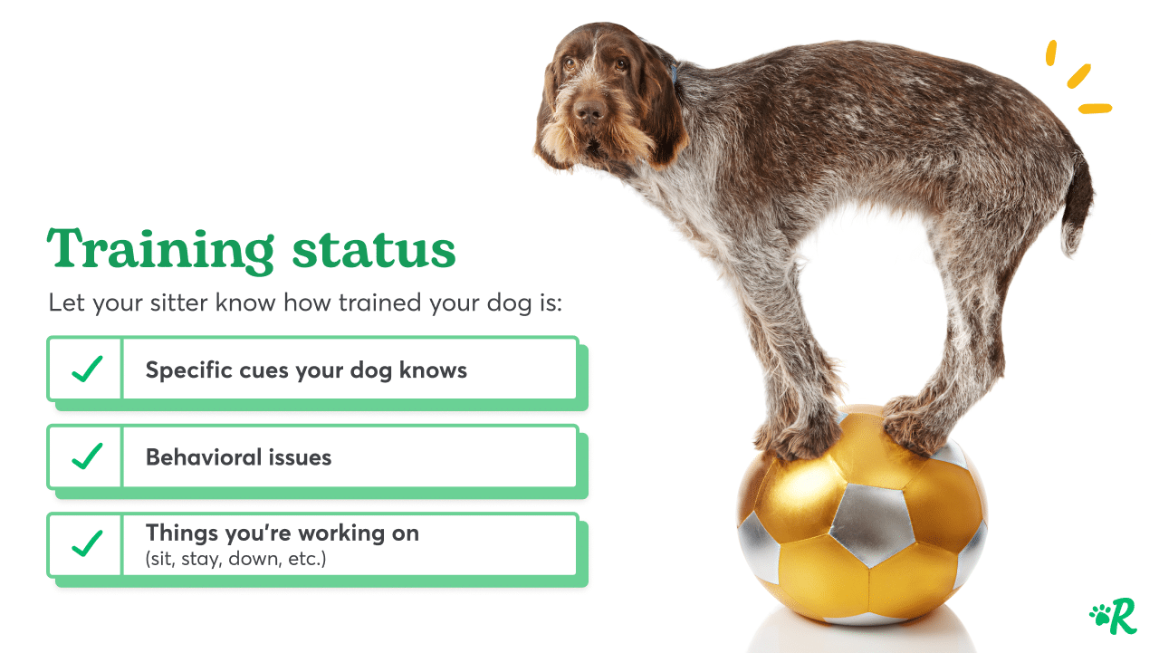 Dog standing on ball next to training checklist for your sitter