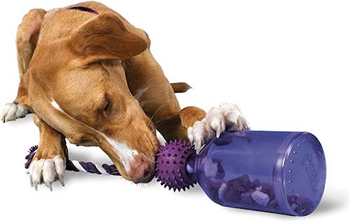 The 15 Best Dog Puzzle Toys That Keep Your Pup Engaged · The Wildest