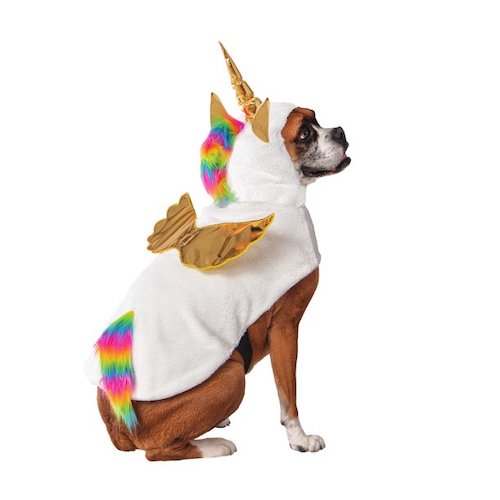 dog in unicorn costume