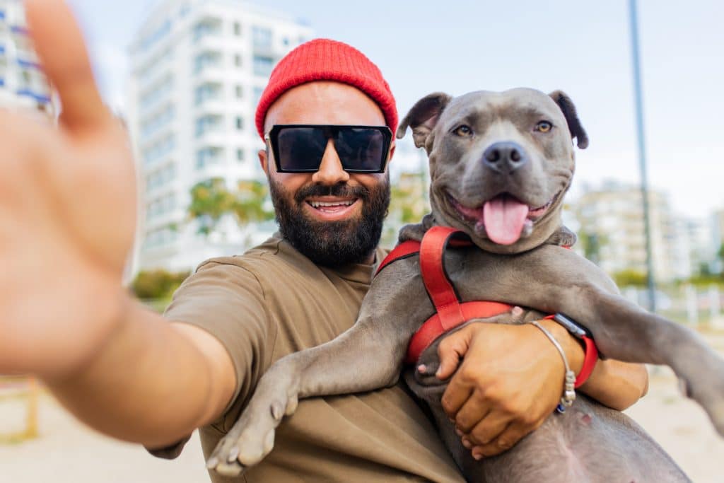portrait of happy man in red hat and sunglasses with american terrier in dogs walking area park in city