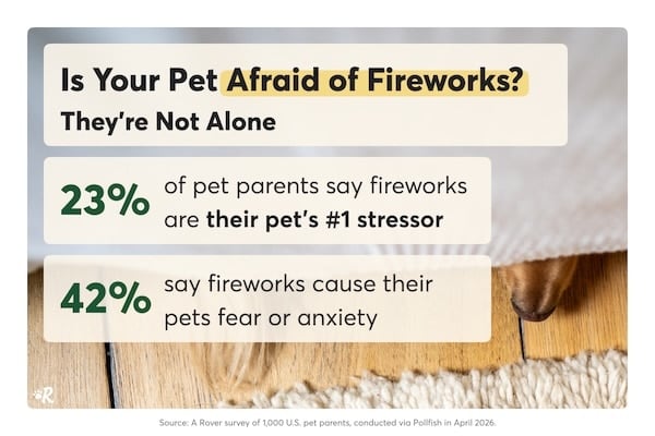 Infographic showing fireworks are the number one stressor for 23% of pets