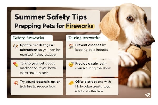 Tips on firework safety for pets
