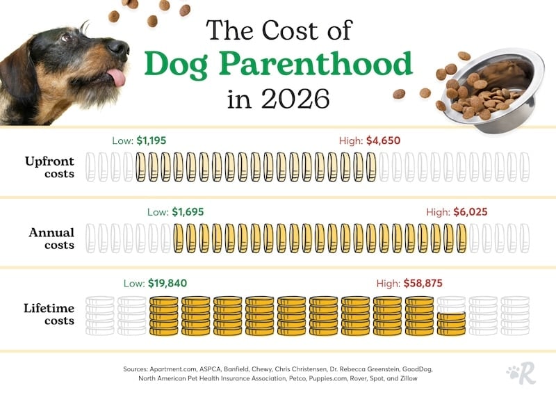 Graphic showing lifetime cost of small, medium, and large dogs