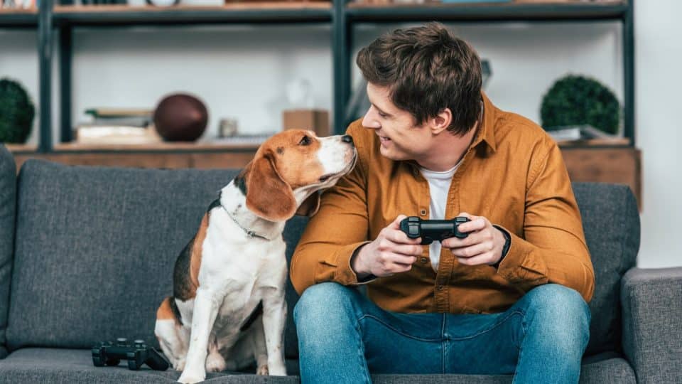 Pet parent playing video games with their dog