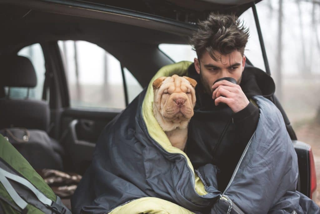 Manteniendo calentito a un perro bajo una manta