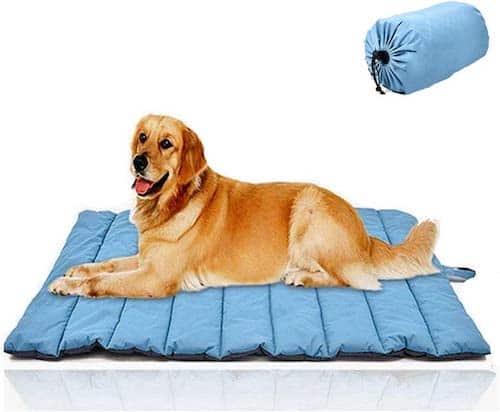 A Golden Retriever laying on a light blue dog mat. 