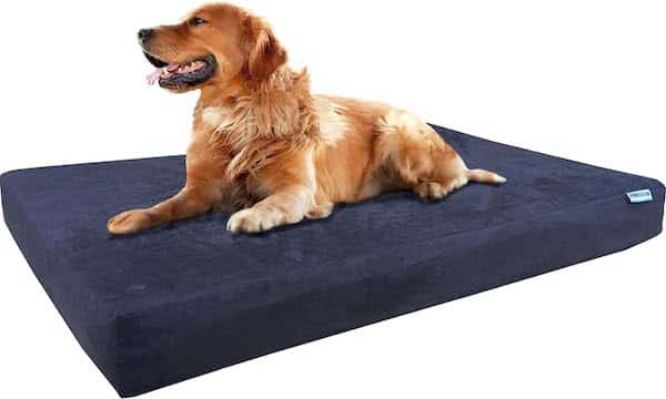 Dogbed4less Waterproof Foam Dog Bed