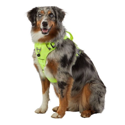 arcadia trail waterproof dog harnesses