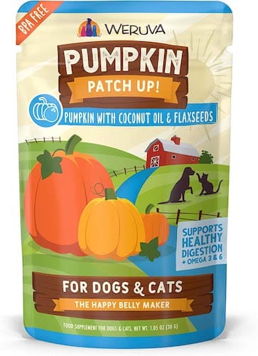 Weruva pumpkin pouch for dogs and cats