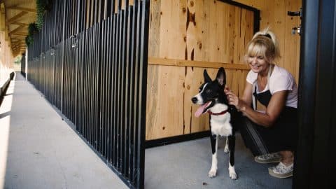 Woman sitting with happy dog in kennel stall