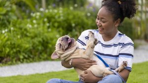 African American woman is playing with her french bulldog puppy while walking in the dog park