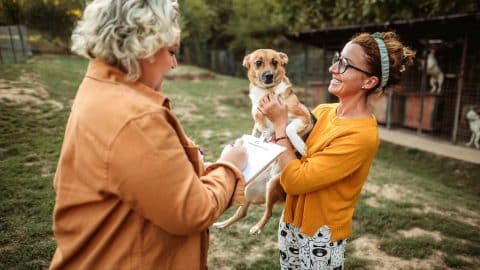 Woman filing out paperwork to adopt a dog outdoors by a shelter
