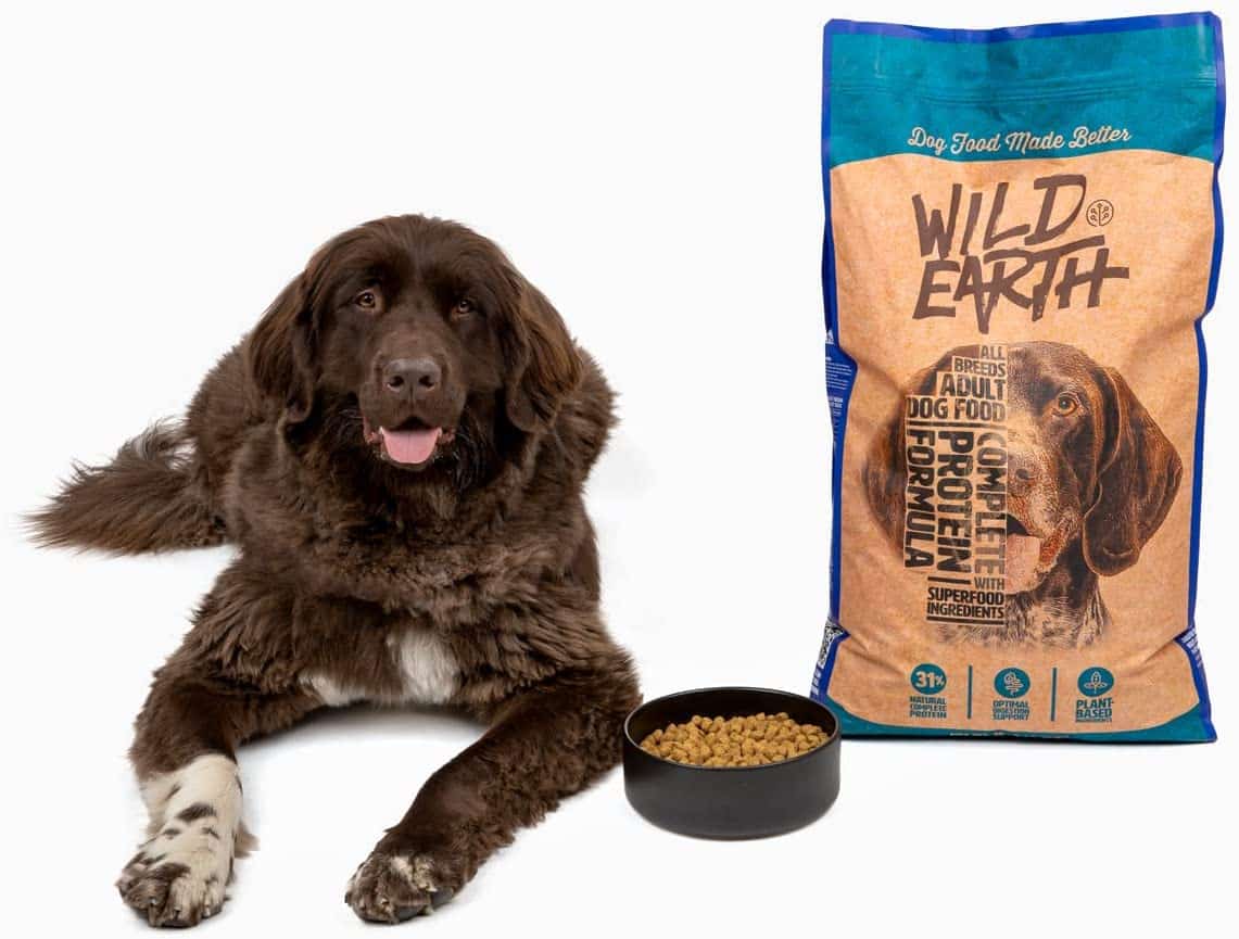 Dog poses next to bag of Wild Earth dog food