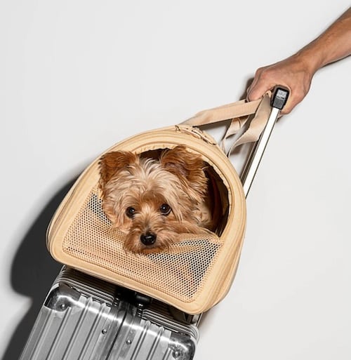 Wild One Travel Carrier